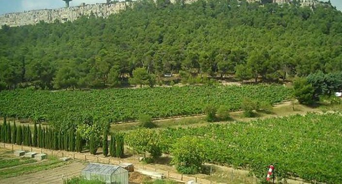 AOÇ’ye spor vadisi yapılacak