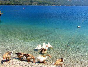 Akbük Koyu’nda kaçak yapıların yıkımı yapılacak