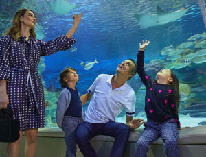 Emaar Akvaryum ve Sualtı Hayvanat Bahçesi yeniden açıldı