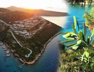 LoftElia Restaurant Bodrum Loft’da açıldı