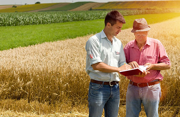 Tarım arazileri çiftçiye on sene kiraya verilebilecek