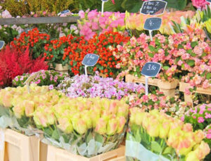 Ankara’da kiralık 50 çiçek satış büfesi