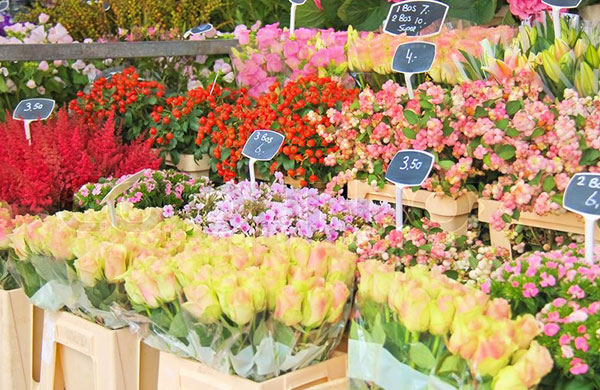 Ankara’da kiralık 50 çiçek satış büfesi