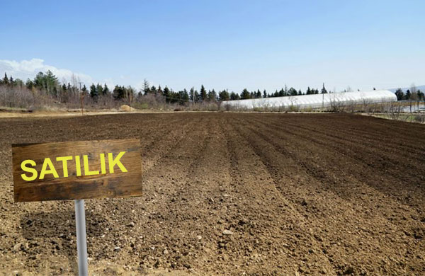 İstanbul’da üç bölgede satılık 74 konut ve arsa