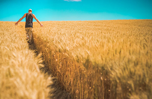 Arsaya talep ikiye katlandı, fiyat yüzde 35 arttı