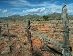 Sınırdaş arazi sahibinin ön alım hakkı kaldırıldı