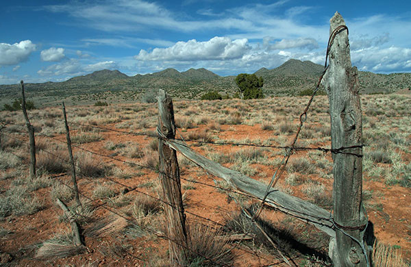 Sınırdaş arazi sahibinin ön alım hakkı kaldırıldı