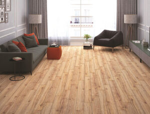 Floorpan Elite laminat parke serisi seçkin yaşamlarda