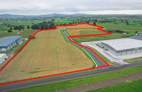 Arsa fiyatları yüzde 21, arazi fiyatları ise yüzde 25 arttı
