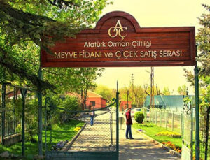 Atatürk Orman Çiftliği arazisi kiraya çıkarıldı!