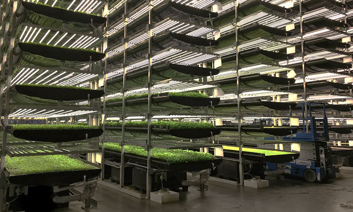 HGT Tarım bir milyon metrekarelik tarım fabrikası kuracak