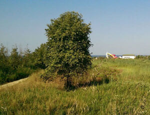 Arsa ve arazi yatırımlarına ilgi büyük