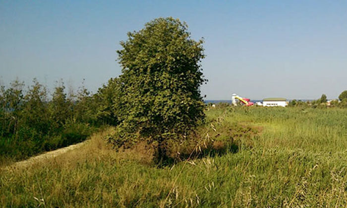 Arsa ve arazi yatırımlarına ilgi büyük