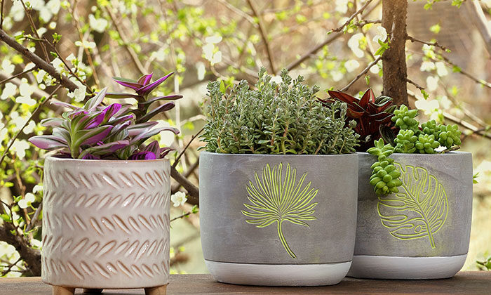 Paşabahçe Mağazaları baharı evlere getiriyor