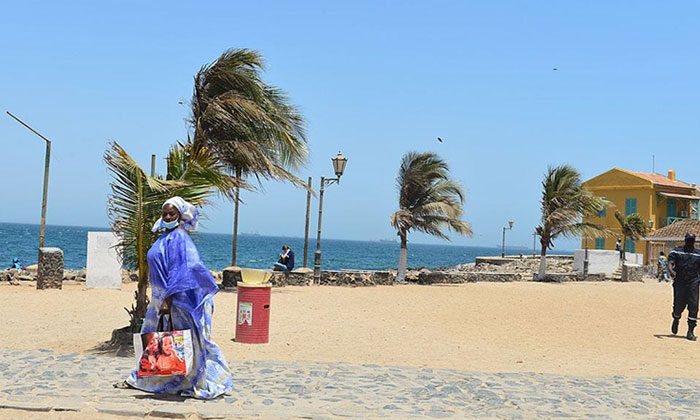 Senegal’in genç nüfusu gelecek vaat ediyor