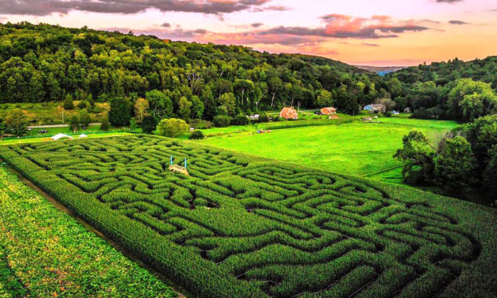Avrupa’nın en büyük Mısır Labirenti Ağva’ya kuruluyor