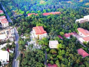 Millet Bahçesi olmaya hazırlanan Validebağ Korusu’nda skandal