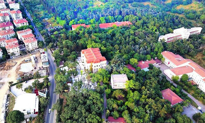 Millet Bahçesi olmaya hazırlanan Validebağ Korusu’nda skandal