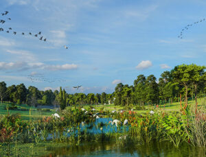 Üsküdar Belediyesi Validebağ Korusu’nu rehabilite edecek