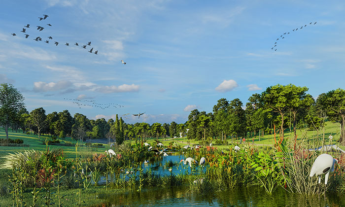 Üsküdar Belediyesi Validebağ Korusu’nu rehabilite edecek