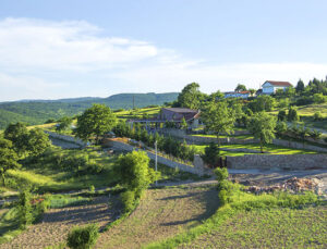 Pandemi ve iklim krizi, konutların yönünü doğaya çevirdi