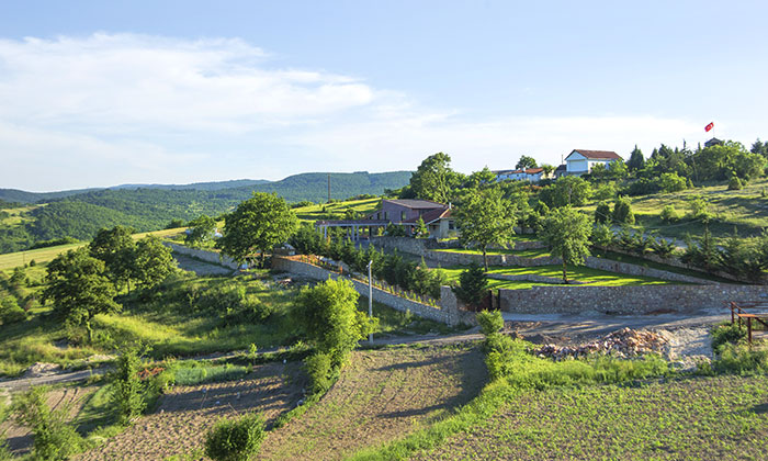 Pandemi ve iklim krizi, konutların yönünü doğaya çevirdi