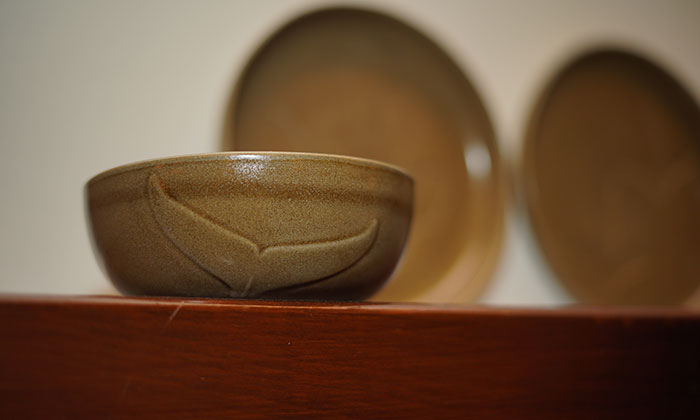 Bonna Porselen Prints serisiyle yaban hayata destek veriyor