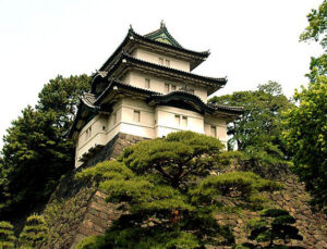 Prenses ile tanışmak için gizlice Saray’a girdi