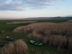 Tarım ve Orman Bakanlığı, kuruyan gölden vergi istiyor