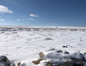 TOKİ Eskişehir Odunpazarı’na 3 bin 136 konut yapacak