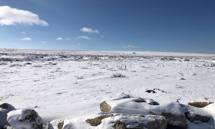 TOKİ Eskişehir Odunpazarı’na 3 bin 136 konut yapacak