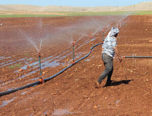 Köylü, bedava tarlayı bile ekmek istemiyor