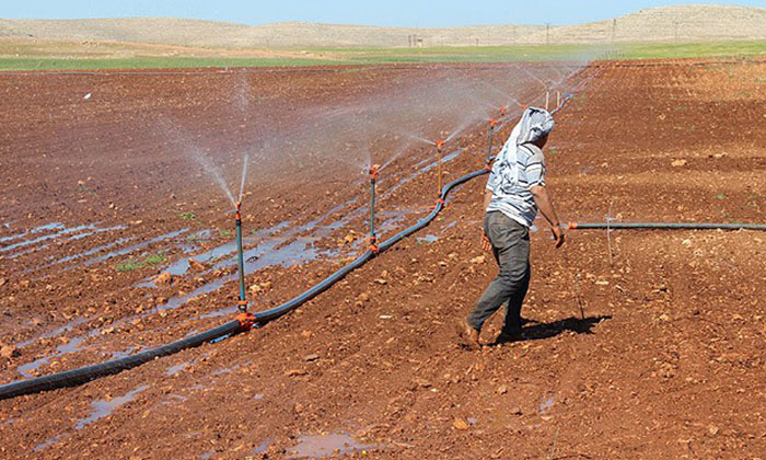 Köylü, bedava tarlayı bile ekmek istemiyor