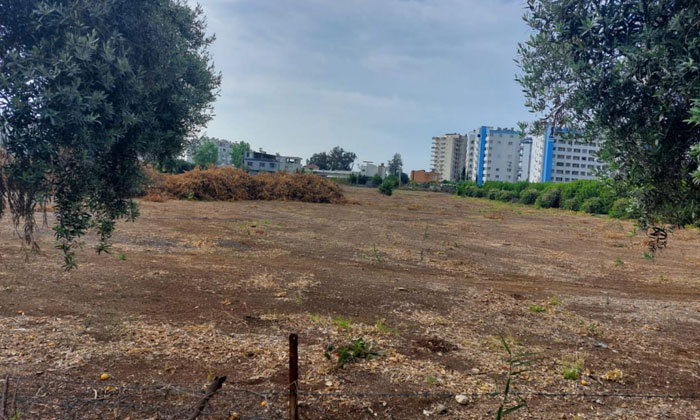 Athena Yapı İnşaat, Mersin’e konut ve otel yapacak