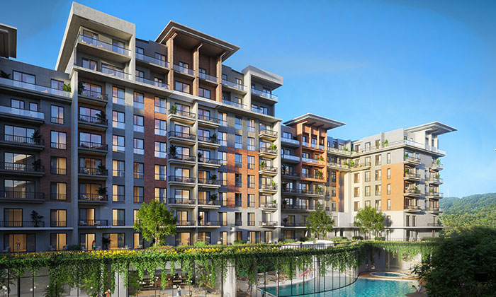 Zeray Gazania Life satışa çıktı