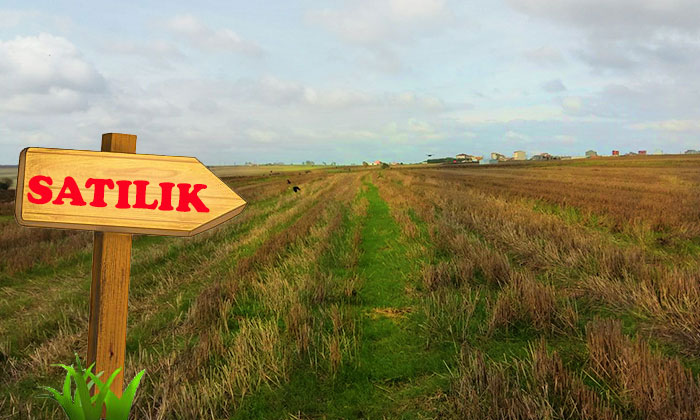 Tarla fiyatları dört yılda dokuza katladı!