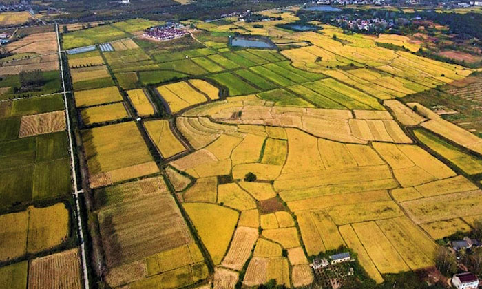 Konut satışları düşüyor, arsa ve iş yeri satışları artıyor