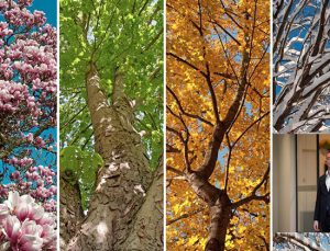 Gayrimenkul yatırımlarına mevsimler yön veriyor