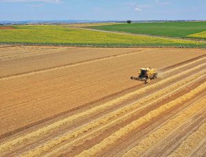 Tarla sahipleri… İki yıl işlenmeyen tarım arazileri kiralanacak