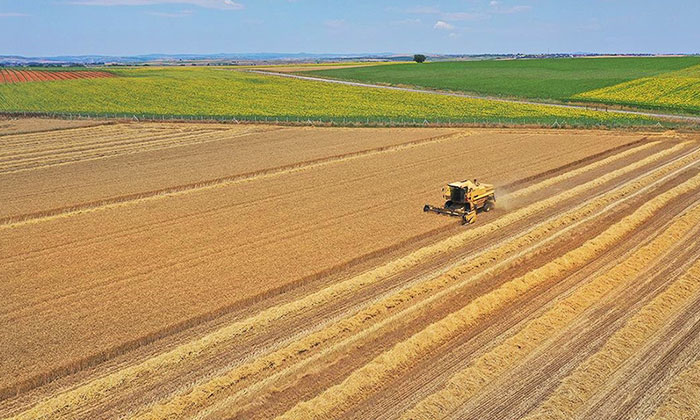Tarla sahipleri… İki yıl işlenmeyen tarım arazileri kiralanacak