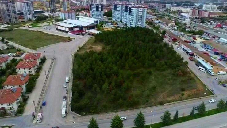 Ayhan Çatal, Kastamonu’da belediyeden aldığı arsaya 510 konut yapacak