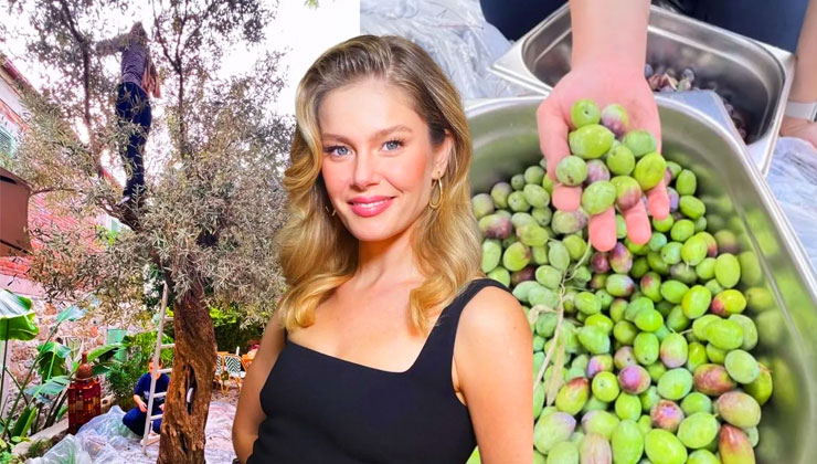 Zeytin ağacında sarışın bir güzel!