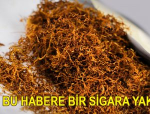 SGK, Muş’taki yaprak tütünevi ve arsasını satıyor!