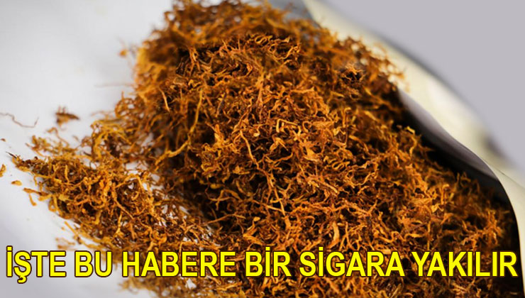 SGK, Muş’taki yaprak tütünevi ve arsasını satıyor!