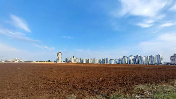 Apartmanların arasında kaldı: Sahibi satmadı, patates ekti