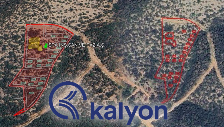 Kalyon bir kere ormana girdi…