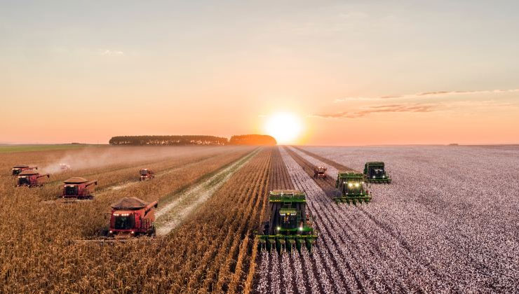 Vakıflar’dan Gaziantep ve Kilis’te 368 milyon TL’ye kiralık tarım arazisi