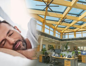 Gün ışığıyla yüzde 42 daha yüksek performans mümkün