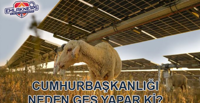 Beştepe’den Konya Karatay’a 468 milyon TL’lik GES projesi
