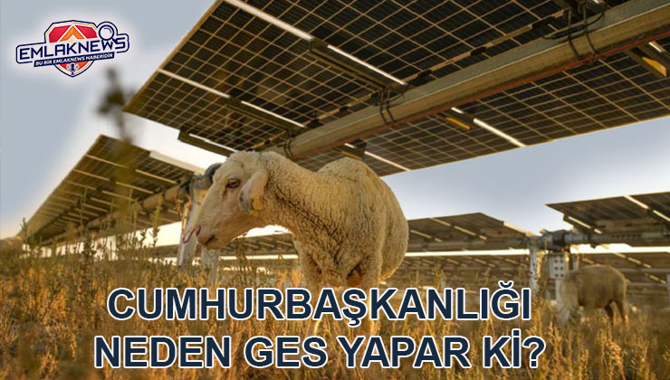 Beştepe’den Konya Karatay’a 468 milyon TL’lik GES projesi